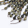 Natural Silver Leaf Jasper 3-Hole Guru Bead Strands G-K149-29-4