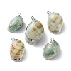 Conch Shell Pendants SSHEL-B002-06A-1