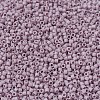 MIYUKI Delica Beads Small SEED-X0054-DBS0875-3