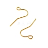 Iron Earring Hooks RN-CBA973B-10B-G-2