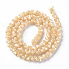 Natural Trochid Shell/Trochus Shell Bead Strands SSHEL-N034-104-A01-2