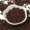 6/0 Opaque Baking Paint Glass Seed Beads X1-SEED-M012-02A-14-2