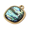 304 Stainless Steel & Natural Paua Shell Pendants SH-CBA7184-01A-G-2
