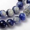 Natural Sodalite Beads Strand GSR8mmC013-2