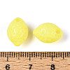 Opaque Acrylic Beads SACR-T017-56A-3