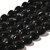 Natural Black Obsidian Beads Strands G-R190-10mm-66-2