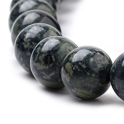 Natural Kambaba Jasper Beads Strands G-Q481-103-1