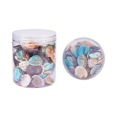 Dyed Natural Shell Beads BSHE-PH0003-02-1