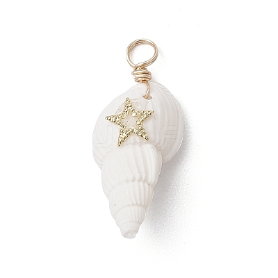 6Pcs 6 Styles Natural Shell Pendants PALLOY-JF03882-1