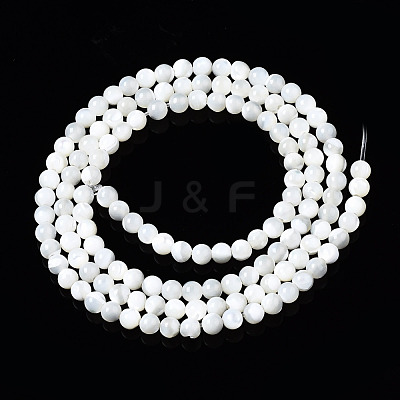 Natural Trochid Shell/Trochus Shell Beads Strands SSHEL-S266-023A-01-1