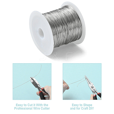 Non-Tarnish 316 Stainless Steel Wire TWIR-L004-01C-P-1