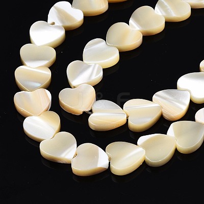 Natural Trochid Shell/Trochus Shell Bead Strands SSHEL-N034-92B-01-1