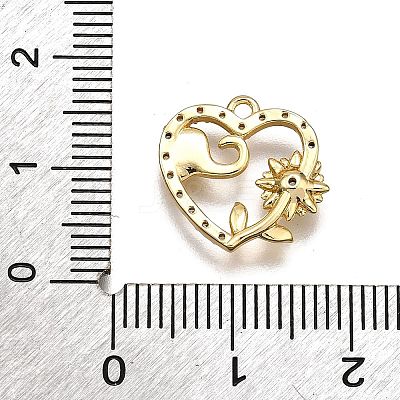 Brass Micro Pave Clear Cubic Zirconia Pendants LS-KK-G530-01C-G-1