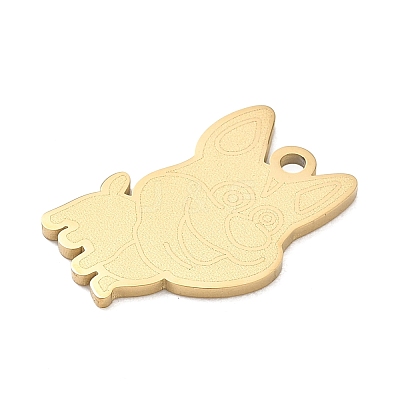 304 Stainless Steel Pendants SA-CBAE115-10G-1