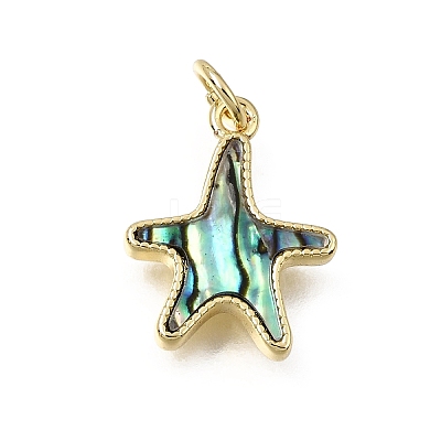Brass & Natural Shell Pendants SH-CBA7C77-02A-G-1