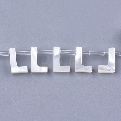 Natural Sea Shell Beads SHEL-T012-60L-1