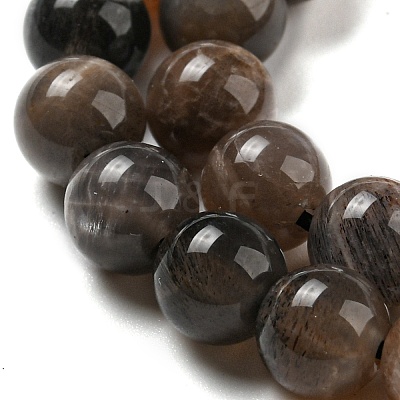 Natural Black Moonstone Beads Strands G-A219-A01-02-1