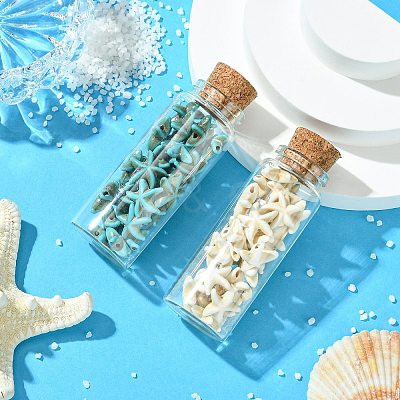 2Pcs Transparent Glass Wishing Bottle Decoration PALLOY-JF03374-1