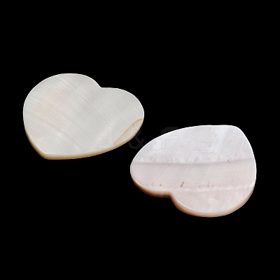 Natural Freshwater Shell Cabochons SHEL-C010-10B-1