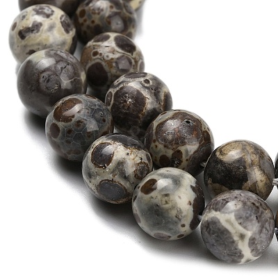 Natural Astroite Jasper Beads Strands G-F814-A01-10mm-1
