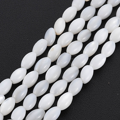 Natural Freshwater Shell Beads Strands X-SHEL-N027-08A-1