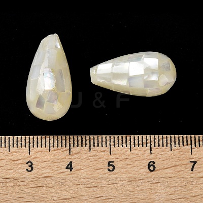 Natural White Shell Beads SSHEL-B002-10B-04-1
