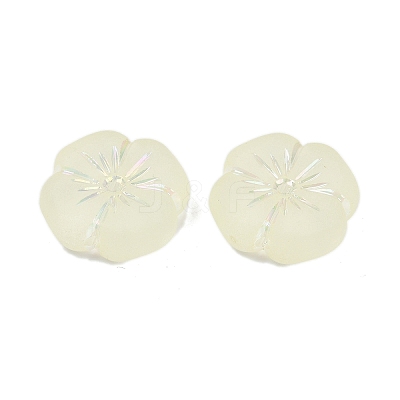Frosted Transparent Acrylic Beads X1-OACR-P029-19B-03-1