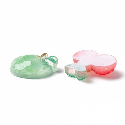 Autumn Theme Transparent Resin Cabochons CRES-A050-19-1