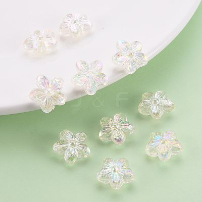 Transparent Acrylic Beads TACR-S154-45C-205-1