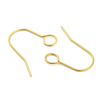 304 Stainless Steel Earring Hooks STAS-B047-31G-1