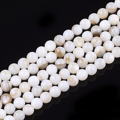 Freshwater Shell Beads Strands SHEL-T011-01-5mm-1