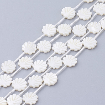 Natural White Shell Beads X-SSHEL-Q298-06-1