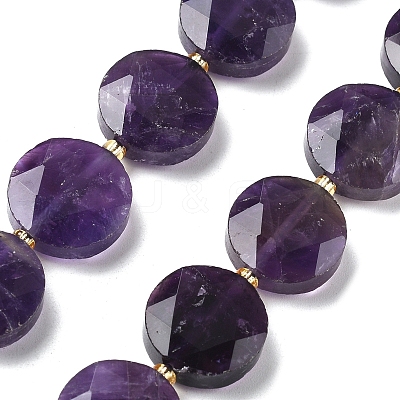 Natural Amethyst Beads Strands G-C116-A167-03-1
