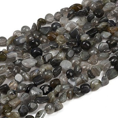 Natural Labradorite Beads Strands G-Q060-E20-02-1