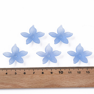 Transparent Acrylic Beads MACR-S373-127-D04-1