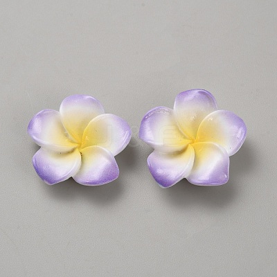 Two Tone Resin Cabochons LS-RESI-WH20010-01A-1