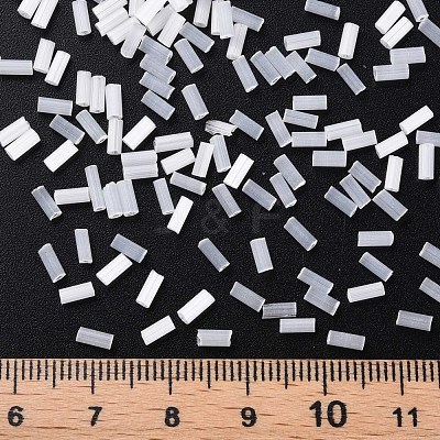 Glass Bugle Beads SEED-N005-001-E01-1