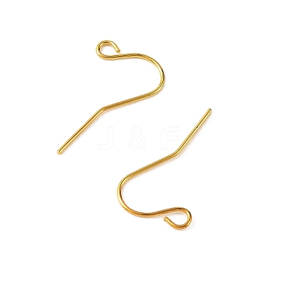 Iron Earring Hooks RN-CBA973B-10B-G-1