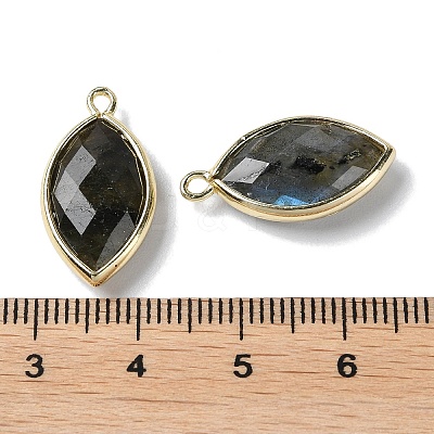 Natural Labradorite Pendants G-B009-01G-R-1