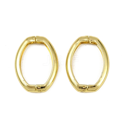 Oval Brass Twister Clasps KK-I358-026G-1