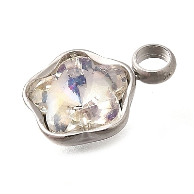 304 Stainless Steel Pendants STAS-Q346-02P-04-1