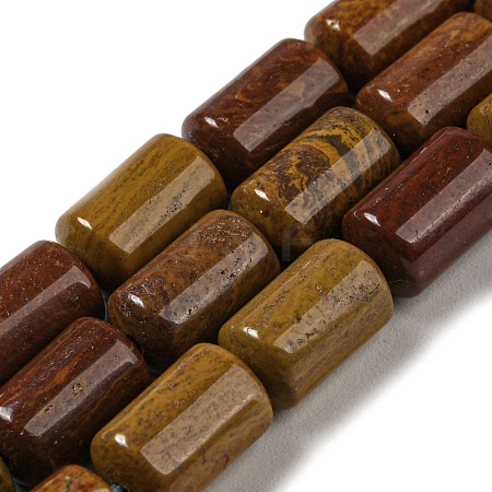 Natural Petrified Wood Beads Strands G-M420-E06-03-1