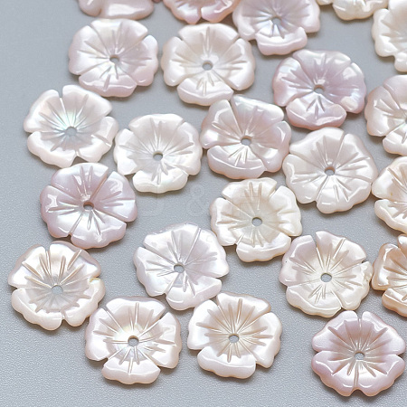 Pink Shell Beads SSHEL-S260-087-1