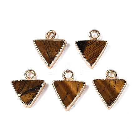 Natural Tiger Eye Pendants G-Q606-103G-03-1
