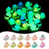 24Pcs 12 Colors Luminous Translucent Resin Cabochons DIY-TA0004-60-10