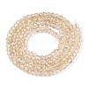 Electroplate Glass Beads Strands EGLA-T021-03J-2