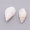 Natural Conch Shell Beads SSHEL-WH0001-29-2