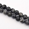Faceted Round Natural Larvikite Beads Strands G-E302-083-8mm-1