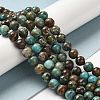 Natural Turquoise Beads Strands G-P506-04C-02-4