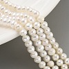 Natural Cultured Freshwater Pearl Beads Strands PEAR-C003-08E-2
